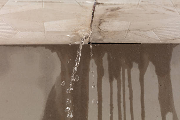 Professional Structural Drying technician working in West Lafayette, IN